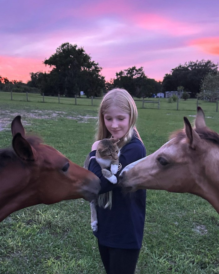A girl holding a cat at sunset while two horses reach in to sniff it