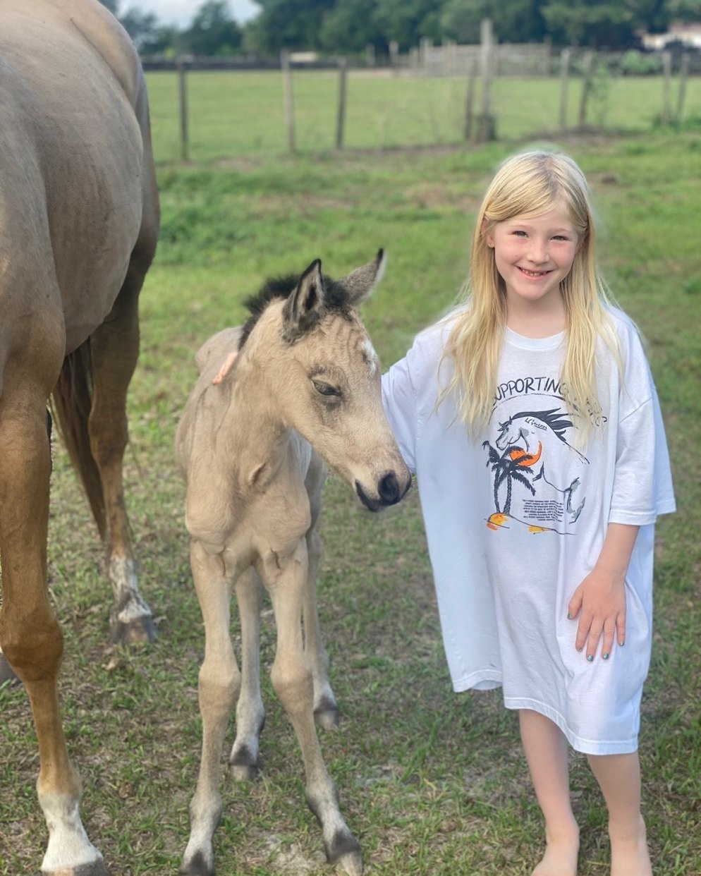 Coletta standing beside Zenni as a newborn buckskin foal, with the mare behind them